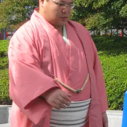 Portrait of Sagatsukasa Hiroyuki