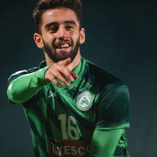 Portrait of Alireza Cheraghali