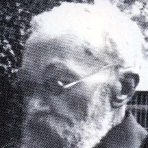 Portrait of Annibale Pastore