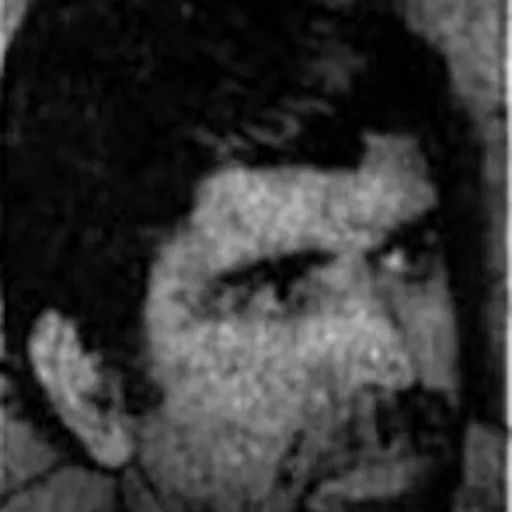 Portrait of Reza Zavare'i