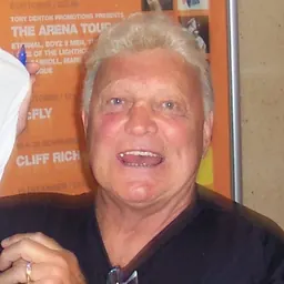 Portrait of Bobby Hull