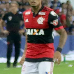Portrait of Éverton Cardoso da Silva