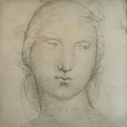 Portrait of Eusebio da San Giorgio