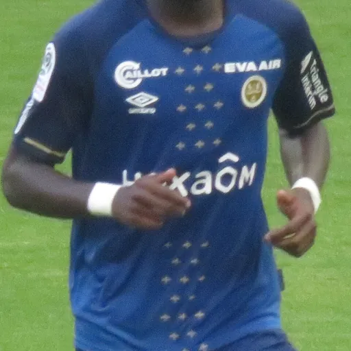 Portrait of Boulaye Dia