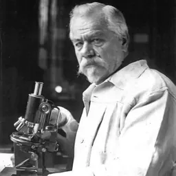 Portrait of Louis Mangin