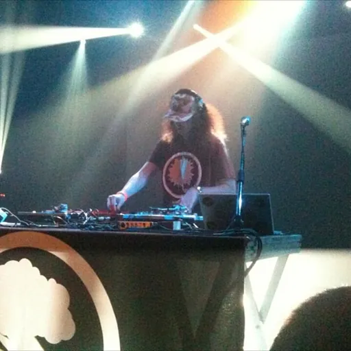 Portrait of Dj Elephant Power