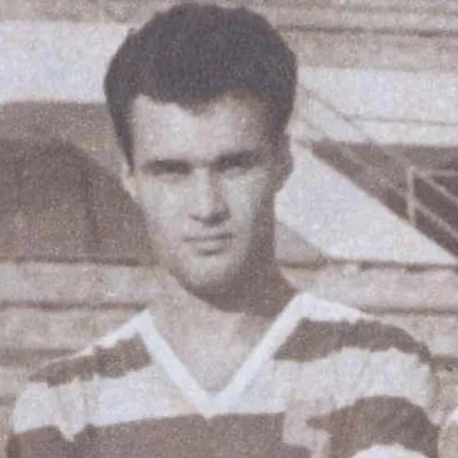 Portrait of Vasile Sfetcu
