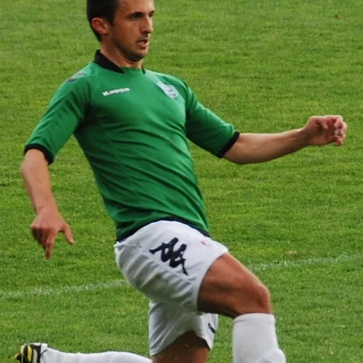 Portrait of Eldin Karišik