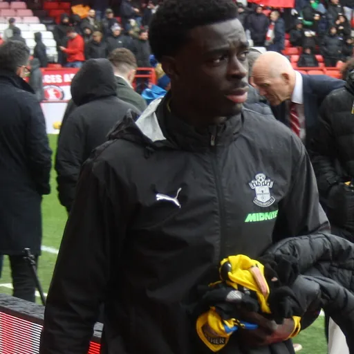 Portrait of Joshua Quarshie