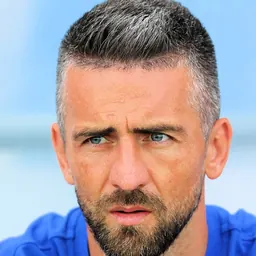 Portrait of Vedad Ibišević