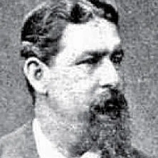 Portrait of Federico Lacroze