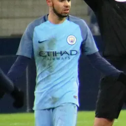 Portrait of Paolo Fernandes