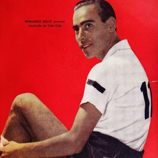 Portrait of Bernardo Bello