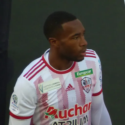 Portrait of Cédric Avinel