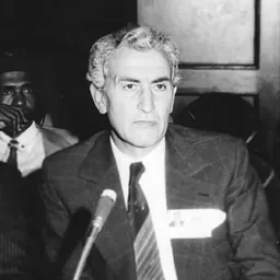 Portrait of Seghir Mostefaï