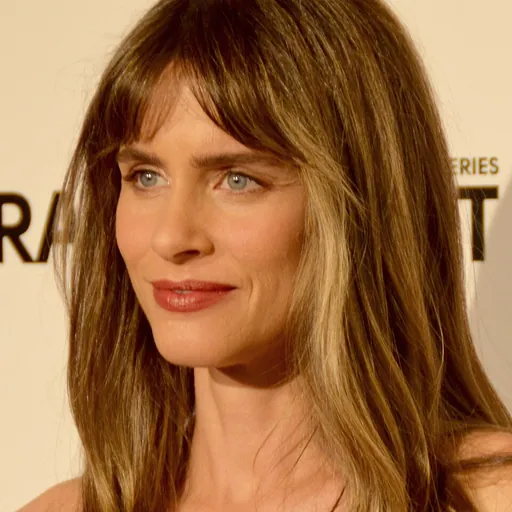 Portrait of Amanda Peet