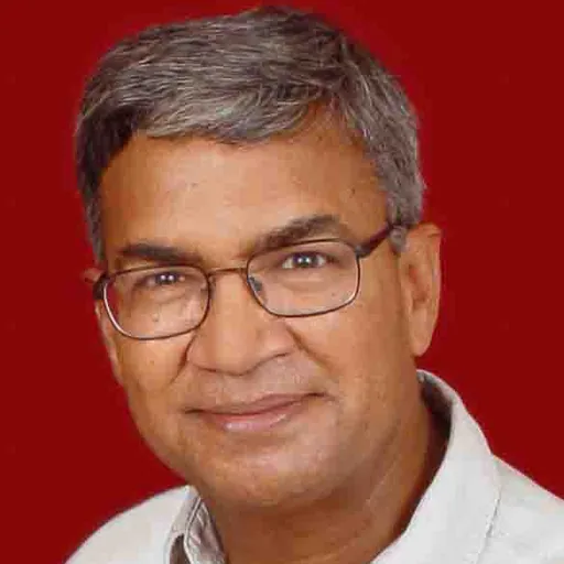 Portrait of Anil Gupta