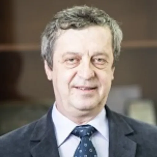 Portrait of Radu Dan Constatinescu