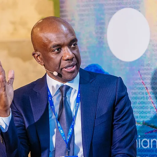 Portrait of James Manyika