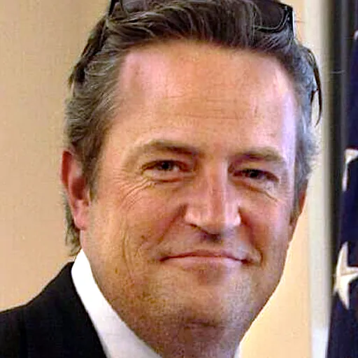 Portrait of Matthew Perry