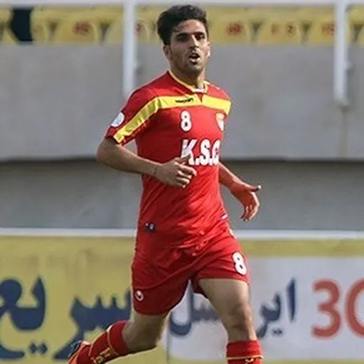 Portrait of Sasan Ansari