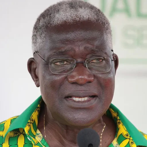 Portrait of Alphonse Djédjé Mady