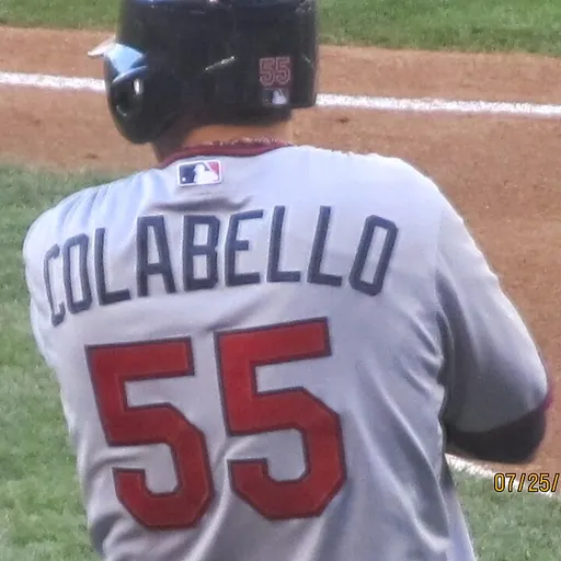 Portrait of Chris Colabello