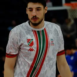 Portrait of Ergi Tırpancı