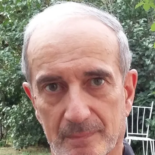 Portrait of Dominique Maingueneau