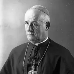 Portrait of Luigj Bumçi