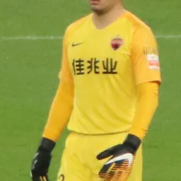 Portrait of Guo Wei