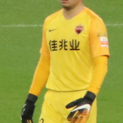 Portrait of Guo Wei