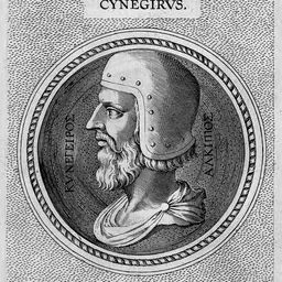 Portrait of Cynaegirus