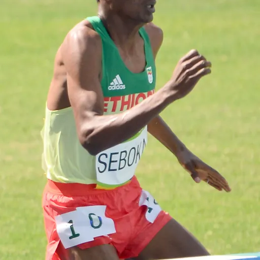 Portrait of Tafese Seboka