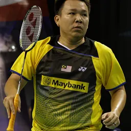 Portrait of Hoon Thien How