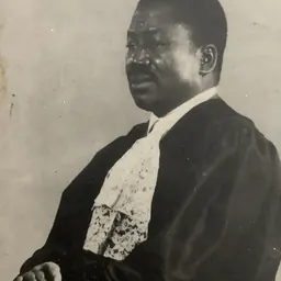 Portrait of Charles Onyeama