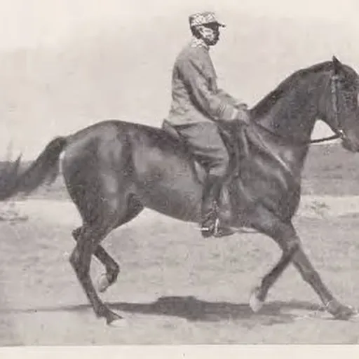 Portrait of Étienne Beudant