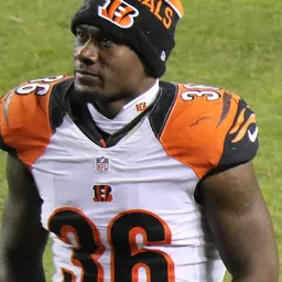 Portrait of Shawn Williams