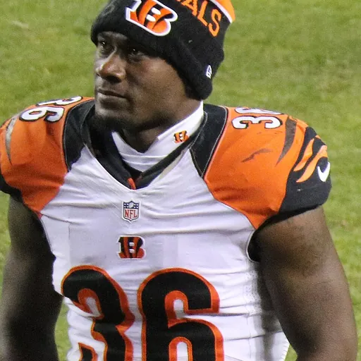 Portrait of Shawn Williams