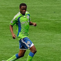 Portrait of Steve Zakuani