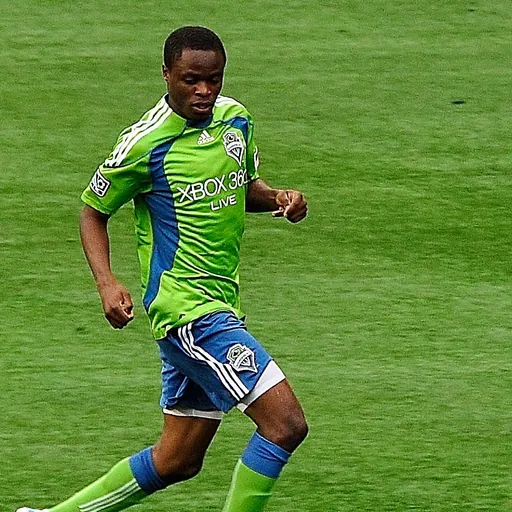 Portrait of Steve Zakuani