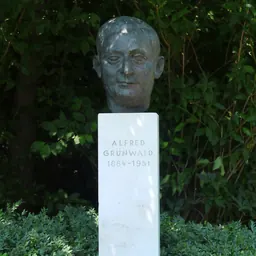 Portrait of Alfred Grünwald