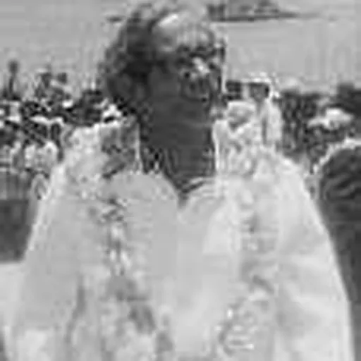 Portrait of Ricardo Bordallo