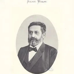 Portrait of Julius Wolff
