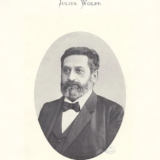 Portrait of Julius Wolff