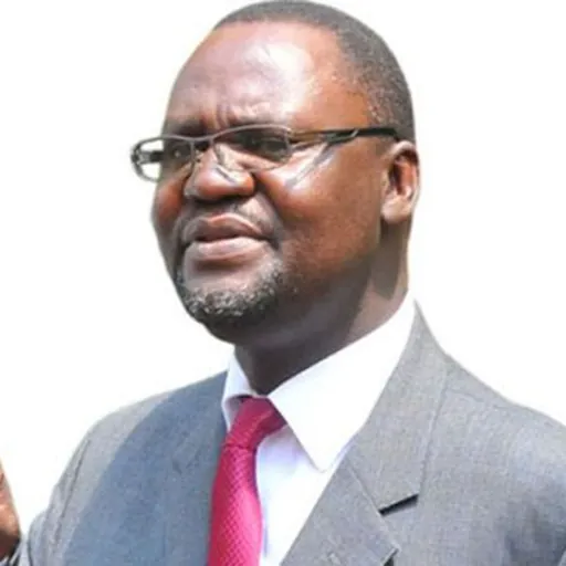Portrait of Abdu Katuntu