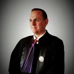 Portrait of Dan Lupașcu