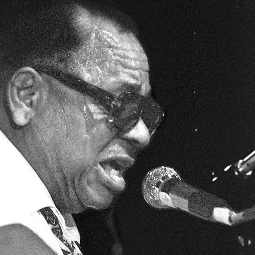 Portrait of Big Joe Williams