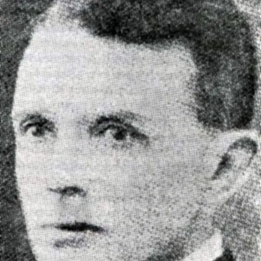 Portrait of Martin Smeby