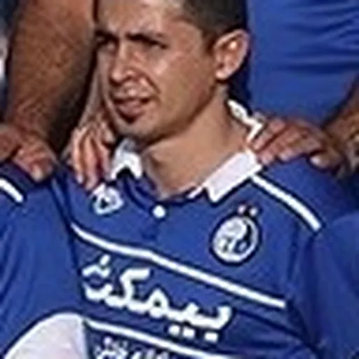 Portrait of Mehdi Amirabadi